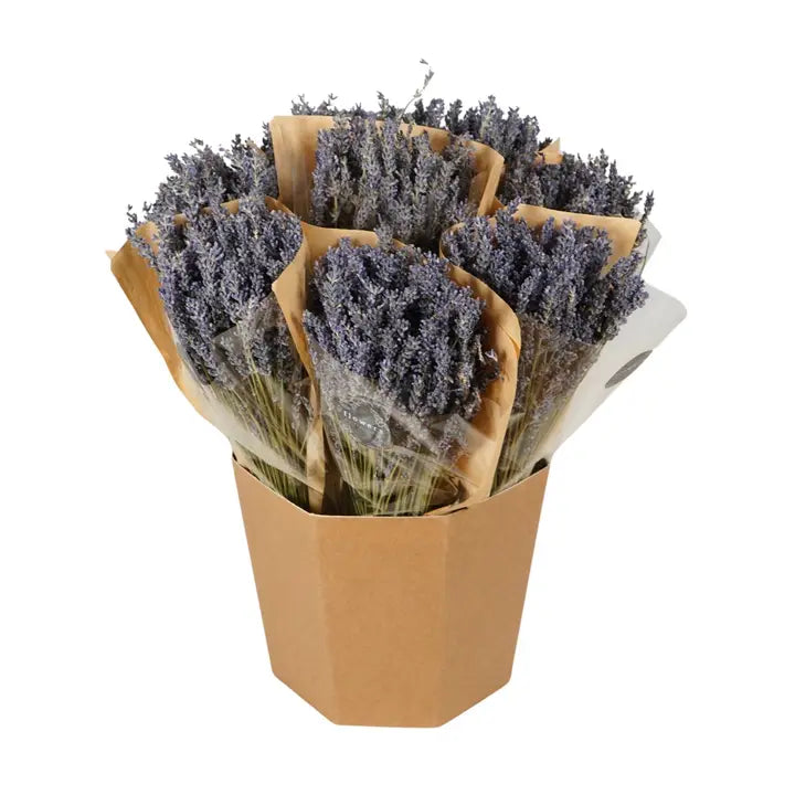 Dried Lavender Bundle | Aromatic Home Decor
