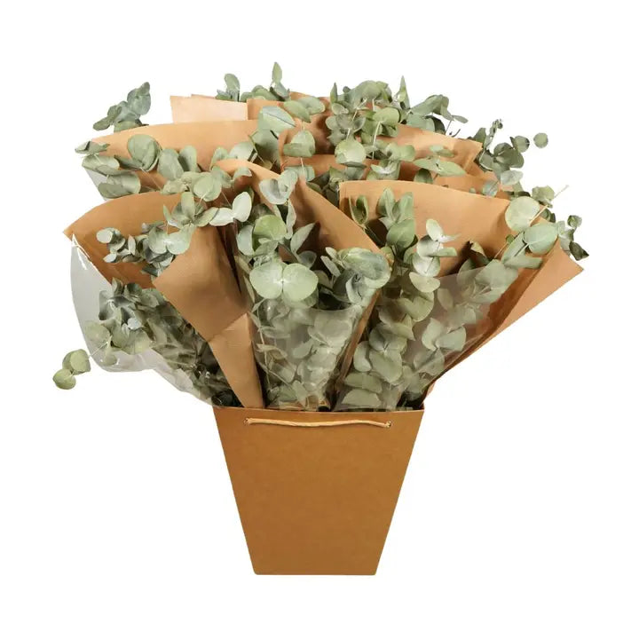 Dried Eucalyptus Bundle