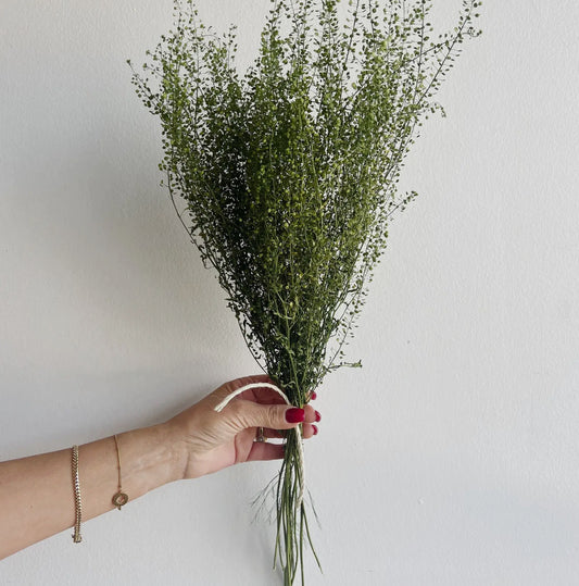 House Of Lilac Everyday Dried Flower Bunch