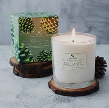 Load image into Gallery viewer, Soap &amp; Paper Roland Pine Large Soy Candle
