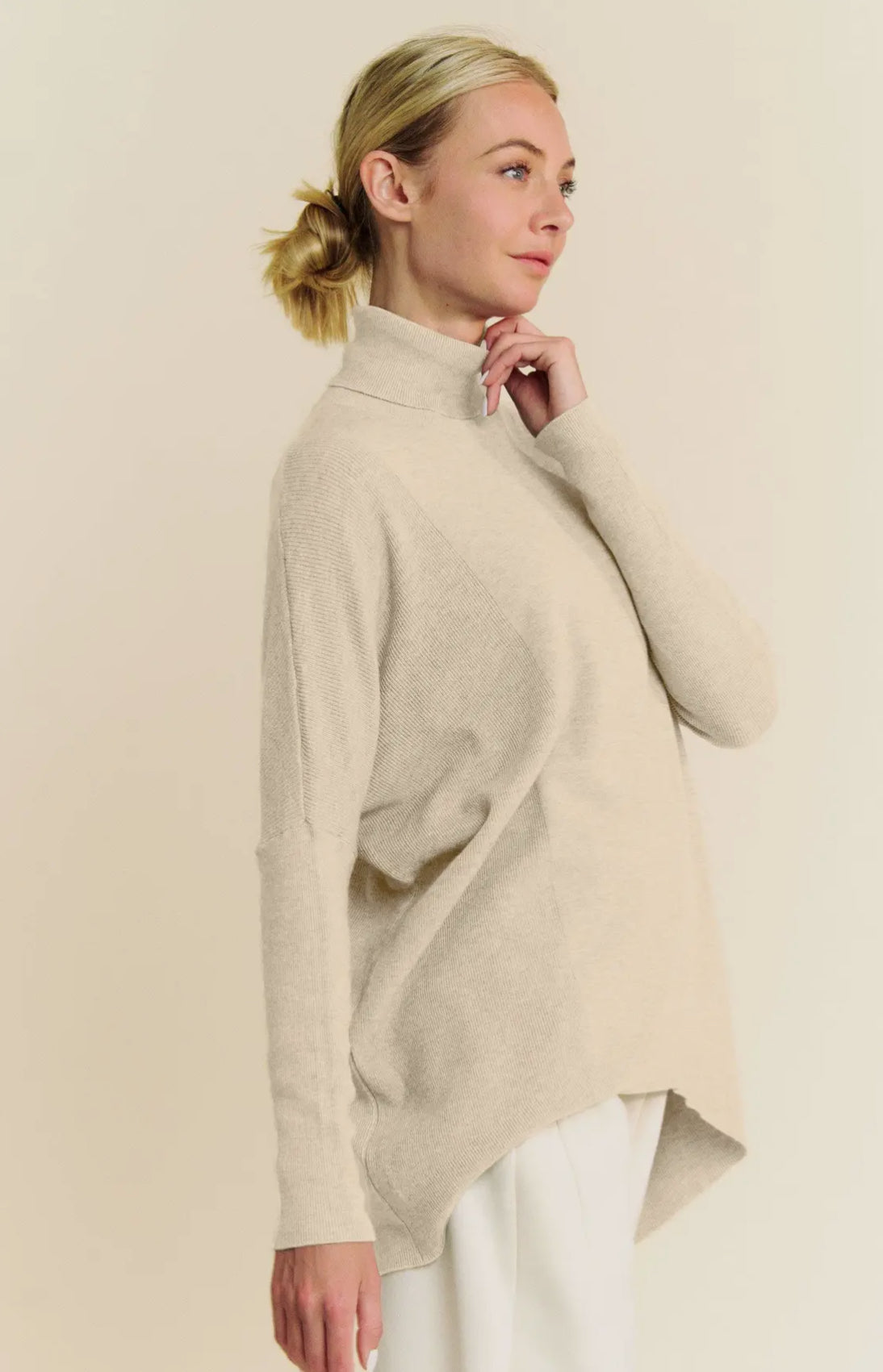 Davi & Dani Long Sleeve Turtleneck Sweater